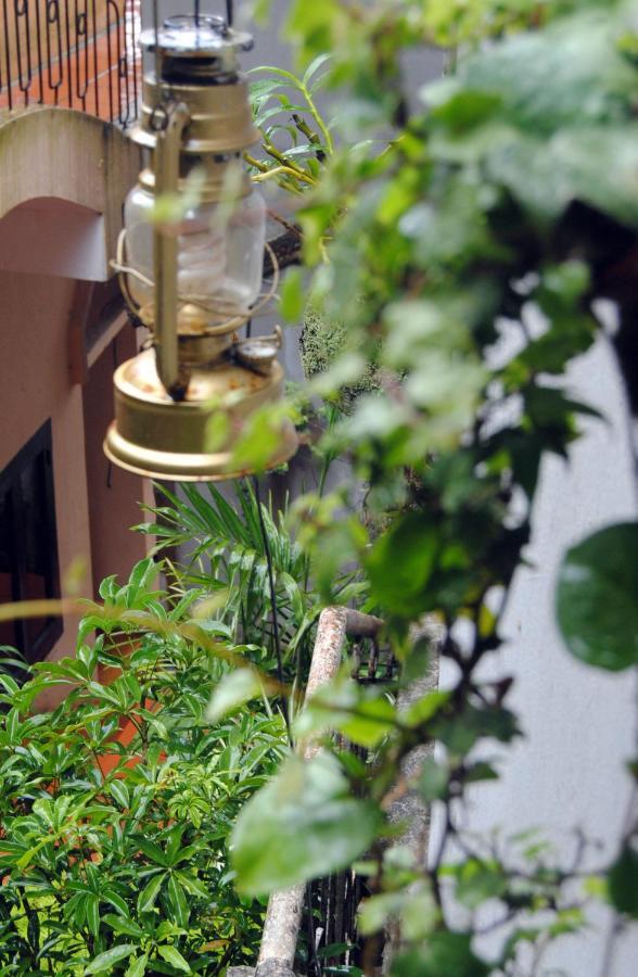 Cat Cat Hotel Sapa エクステリア 写真